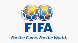 Friendlies league flag