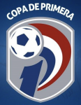 Division Profesional - Clausura league flag