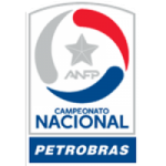 Primera División league flag