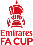 FA Cup league flag