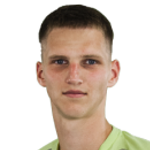 D. Tananeev Defender