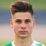 G. Sikošek Defender