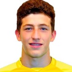 S. Aliev Attacker