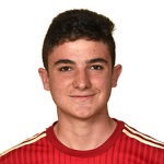 Ferni Attacker