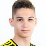 V. Dijinari Defender