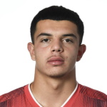 Z. Amdouni Attacker