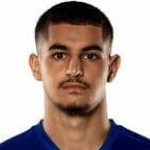 L. Mercan Defender