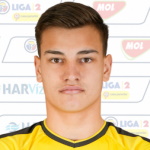 S. Gyenge Goalkeeper