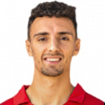 B. Bruggeman Attacker