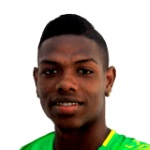 J. Pestaña Defender