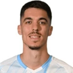 N. Janković Attacker