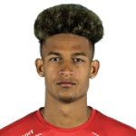 F. Alves Defender