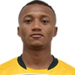 Reverson Defender