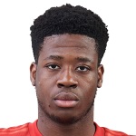 B. Arrey-Mbi Defender