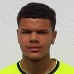 Y. Vardin Midfielder