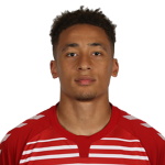M. Tavernier Midfielder