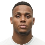 Natan Defender