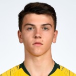 N. Botić Attacker