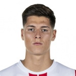 S. Čestić Defender