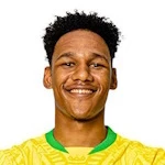 K. Johannes Defender