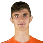 P. Hamel Attacker