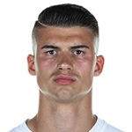 J. Stanić Defender