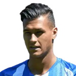 D. Selke Attacker