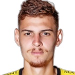 Rafael Defender