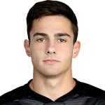 Y. Karabin Attacker