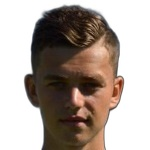 D. Horák Midfielder