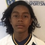 Sebastian Nava Attacker