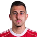 N. Gradišar Attacker