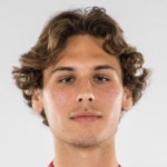 Beni Redžić Attacker