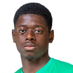 S. Sow Defender