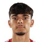 B. Oteliță Defender