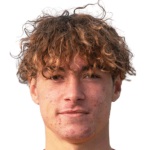 P. Pagis Attacker