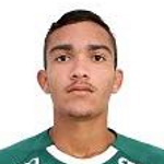 Ruan Attacker