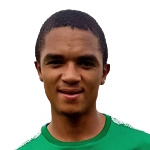 R. Van der Ross Attacker