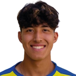 H. Vitalucci Attacker