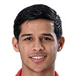 M. Ghaedi Midfielder