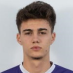 N. Mituljikić Attacker
