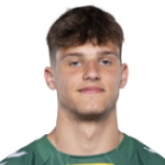 N. Dzięgielewski Midfielder