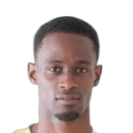 T. Williams Defender