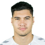 K. Diks Defender