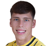 S. Negru Defender