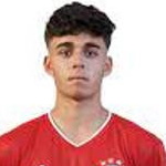 L. Copado Attacker