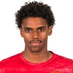 R. Lipinski Defender