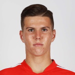 Ž. Jevšenak Midfielder