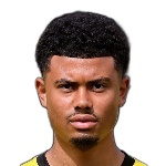 L. Posadas Defender