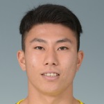 M. Hosoya Attacker